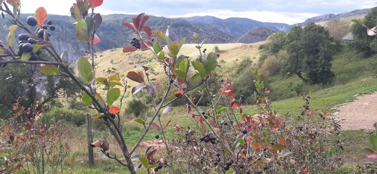 Biserna Dolina Uvac Sjenica Esterno foto